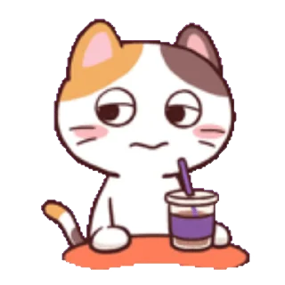 Meong the Meme Cat emoji ⭐