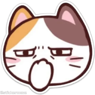 Meong the Meme Cat emoji 😖