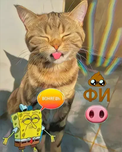 MeowBots 2 emoji 🐽