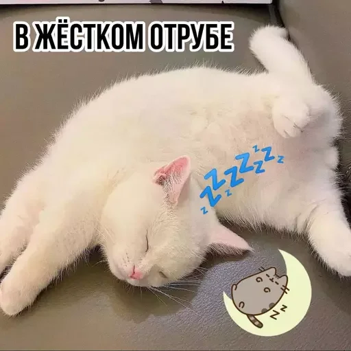 MeowBots 2 sticker 🌚