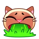 Емодзі Meow Emoji 🤮
