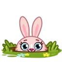 Mia Bunny stiker 👍