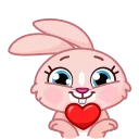 Mia Bunny stiker ❤️