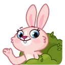 Эмодзи телеграм Mia Bunny
