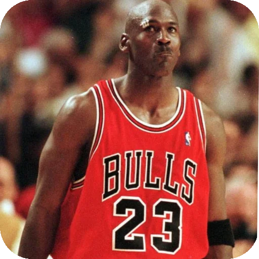 Michael Jordan sticker 🤨