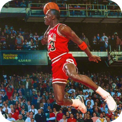 Michael Jordan sticker 🕊