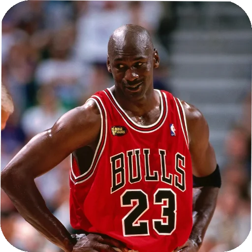 Michael Jordan sticker 😉