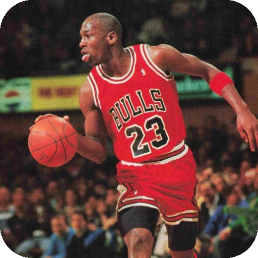 Michael Jordan sticker 😛