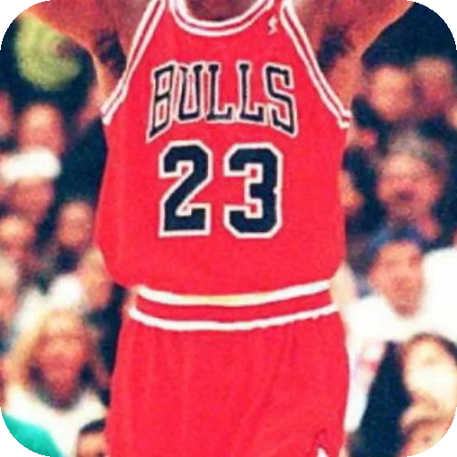 Michael Jordan sticker 👍