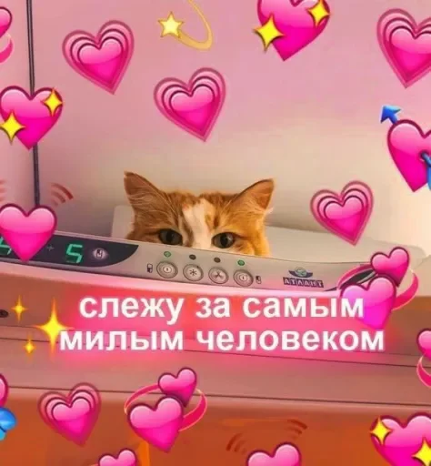 Стикер Telegram «Милые Котики» ❤️