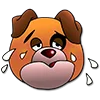 Milo Dog emoji 🥵