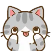 Min Min Cat emoji 😛