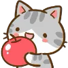 Min Min Cat emoji 🍎