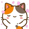 Min Min Cat emoji 😌