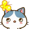 Min Min Cat emoji 🦋