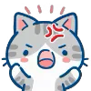 Min Min Cat emoji 🤬