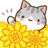 Min Min Cat emoji 🌼