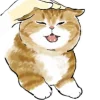 Котики mofu_sand emoji 😌