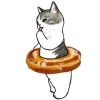 Котики mofu_sand emoji 🍩
