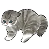 Котики mofu_sand emoji 🙀