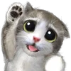 Telegram emoji Mofu Kitten