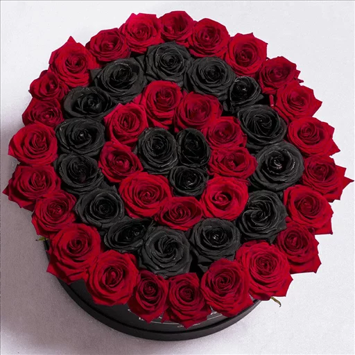 Roses stiker 🌹