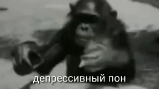Эмодзи обезьяни пон  🥱