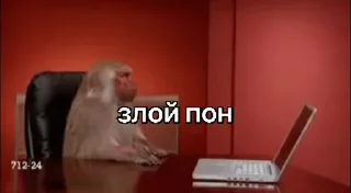 Эмодзи обезьяни пон  🧐