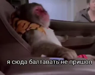 Эмодзи обезьяни пон  😀