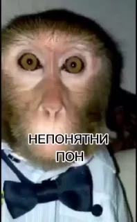 Эмодзи обезьяни пон  🔞