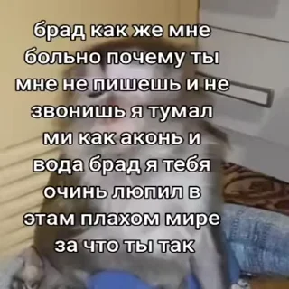 Стікер Обезьяны ПОН 🐵