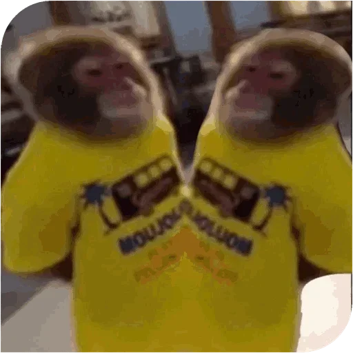 Эмодзи Monkey 😐