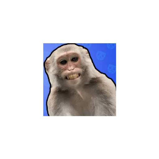 Эмодзи Monkeys 😄