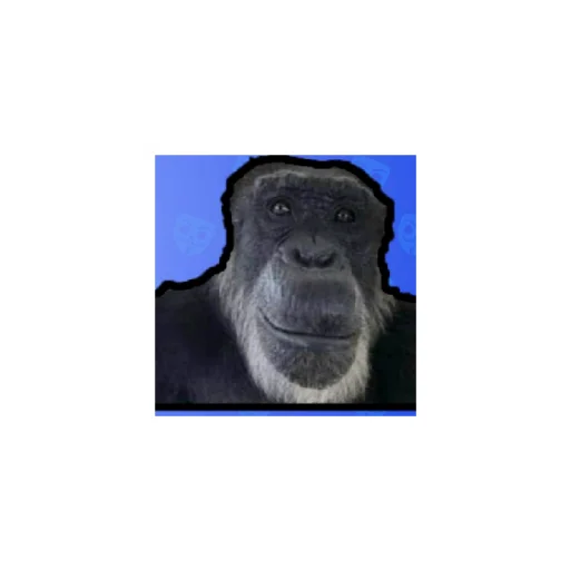 Monkeys sticker 😄