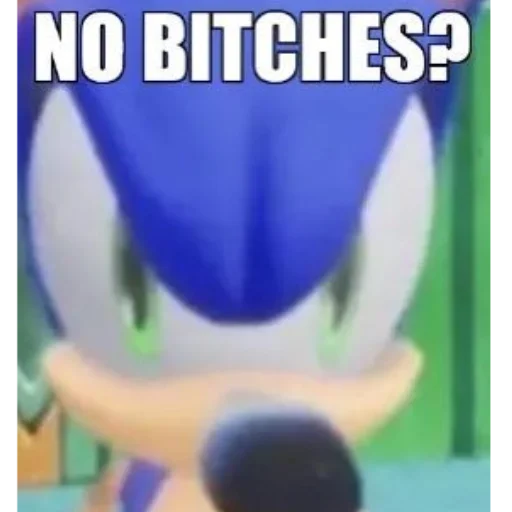 Sonic pics sticker ❓