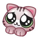 Стикер Motty Cat Emoji  🥺