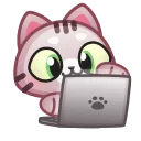 Стикер Motty Cat Emoji  💻