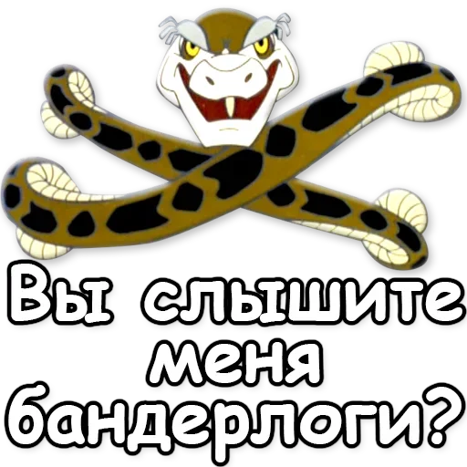 Cheetah stiker ❓
