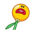 Mr. Floret emoji 🤦‍♂️