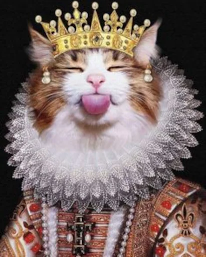 Mr Mrs Miss Queen King  sticker 👅