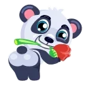 Mr. Panda sticker 😏