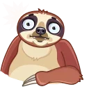 Sloth sticker 🤯