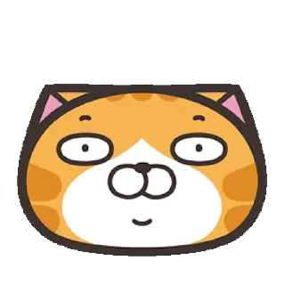 CAT emoji 🤯