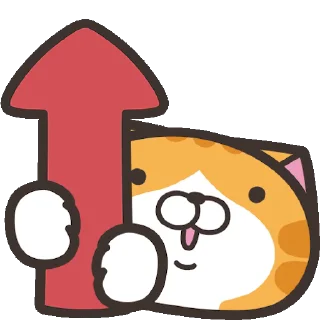 CAT emoji 👆
