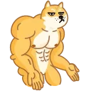 Емодзі Muscle Dog 😒