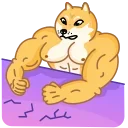 Емодзі Muscle Dog 😬
