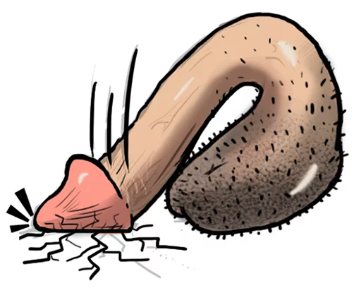 Telegram Sticker «Dick» 😞