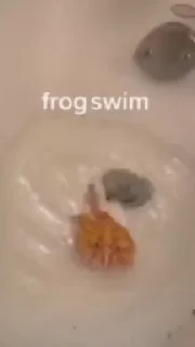 Frogggs emoji 🛀