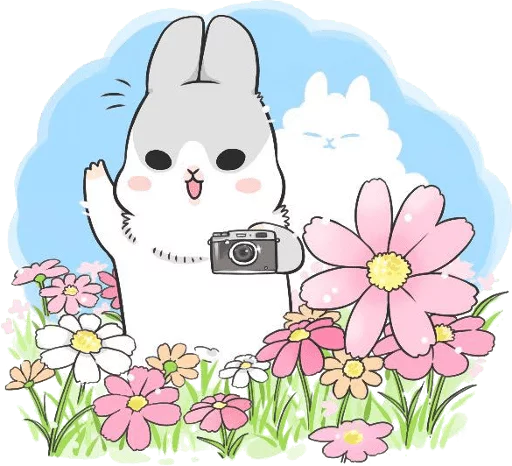Machiko Rabbit stiker 😆