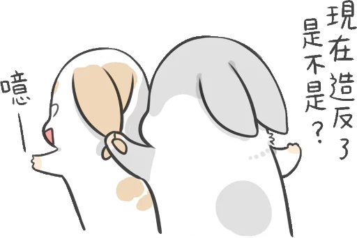 Machiko Rabbit sticker 😒